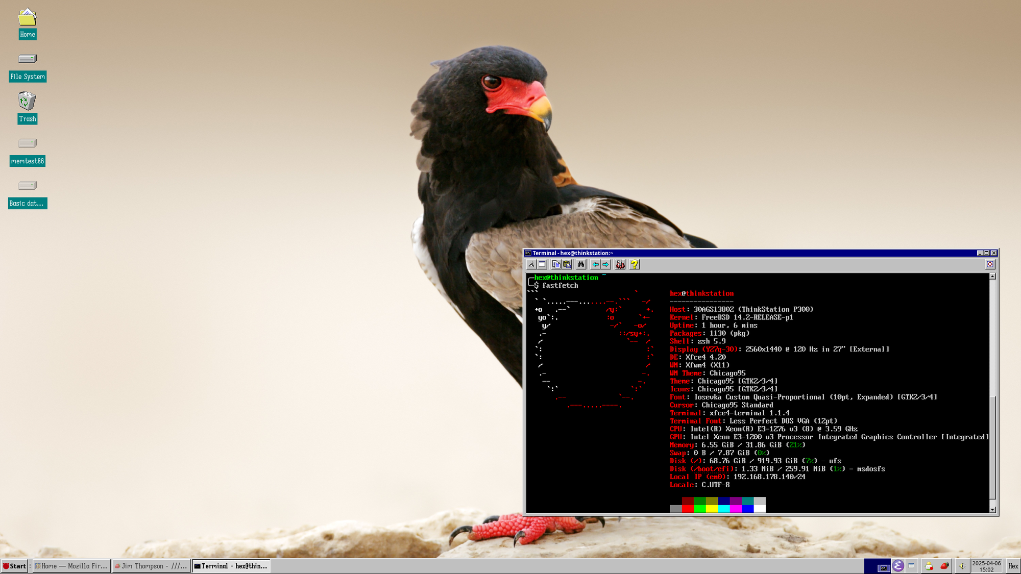 A screenshot of a FreeBSD desktop with a photo of a bateleur eagle as the background image and a terminal window showing the outout of the program 'fastfetch'.